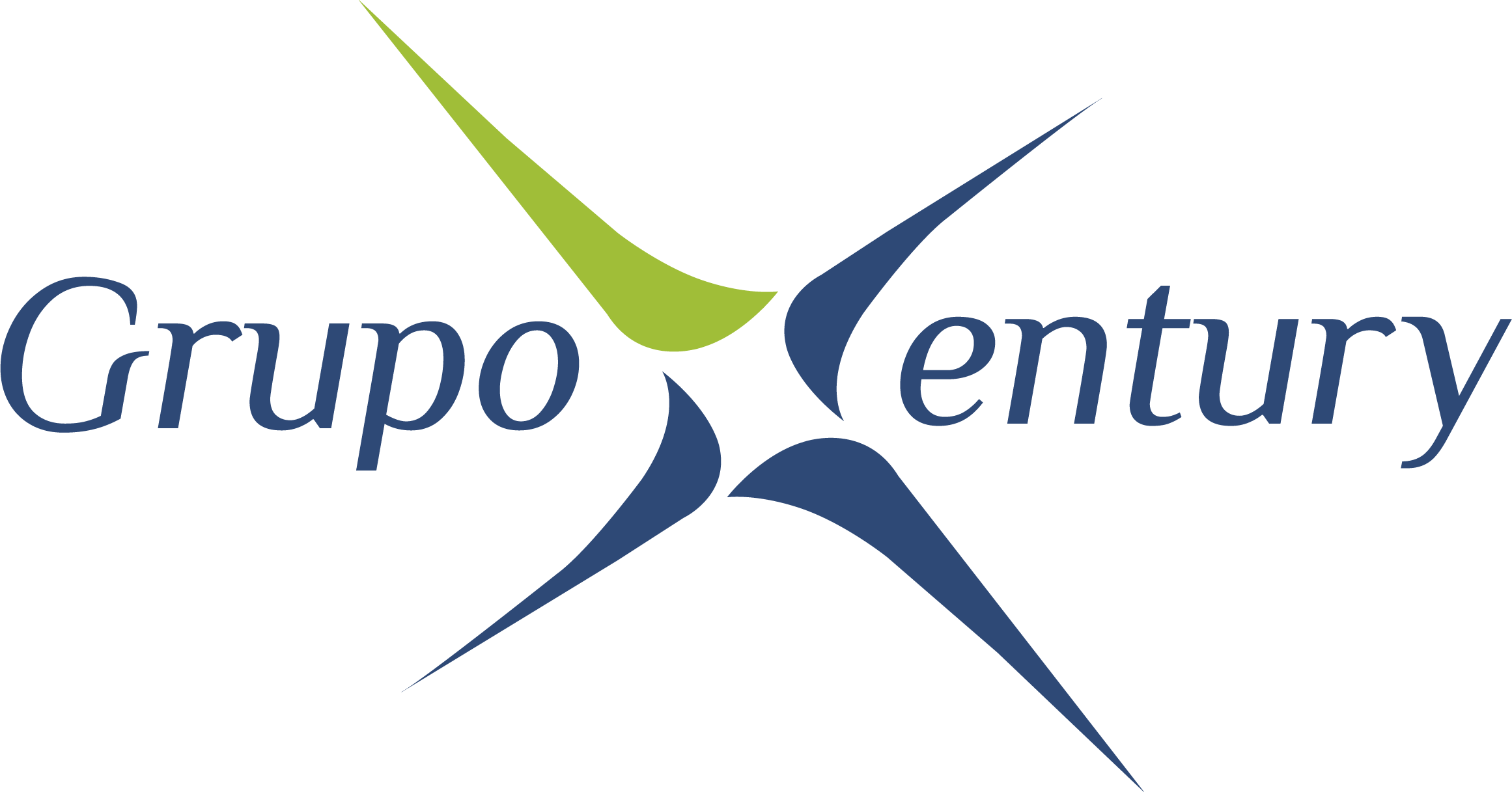 Website Logo
